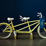 Golden Tulip