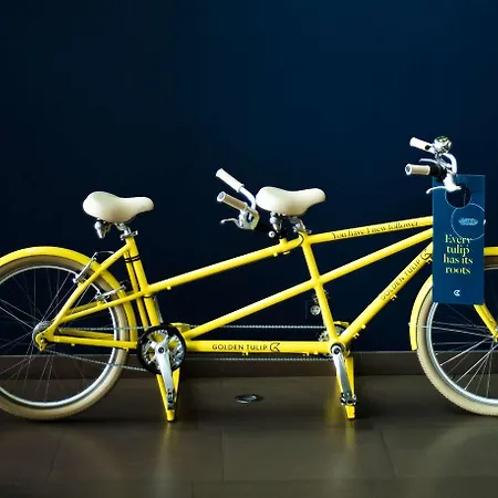 Golden Tulip